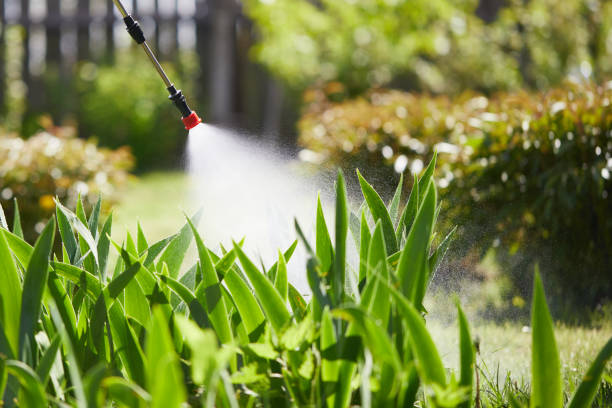 24/7 Emergency Termite Control experts in Blowing Rock, NC
